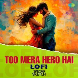 Too Mera Hero Hai - Lofi