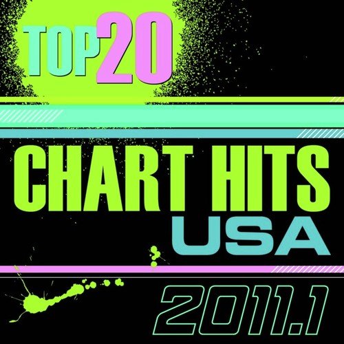 Top Chart Hits 2011