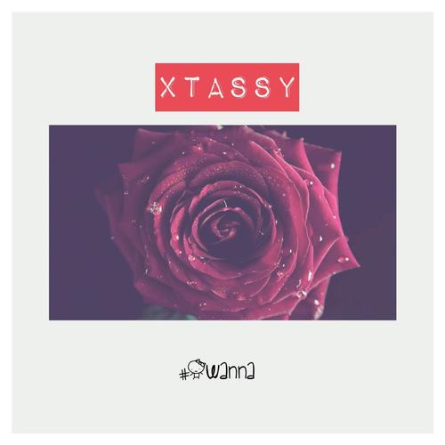 X-Tassy