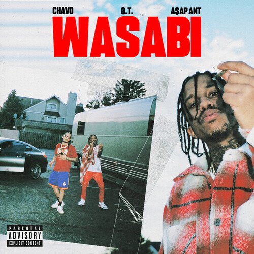 Wasabi_poster_image