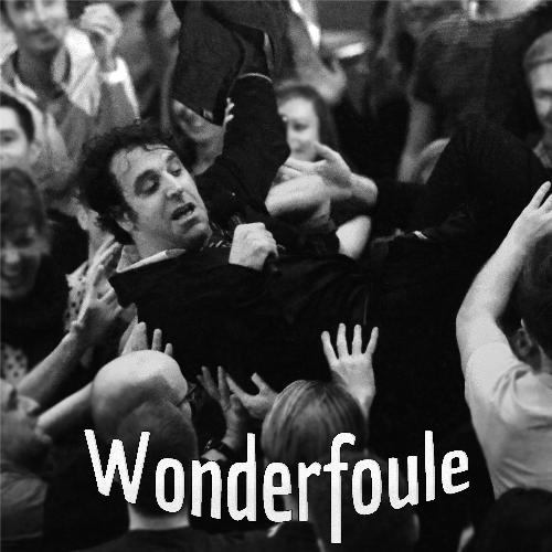 Wonderfoule (feat. Arielle Dombasle) cover art