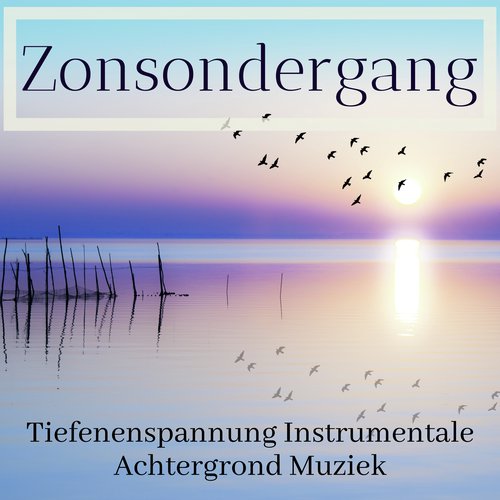 Achtergrond cover art