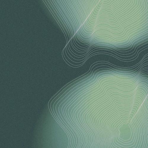 Devin cover art