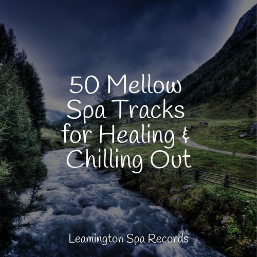 50 Mellow Spa Tracks for Healing & Chilling Out