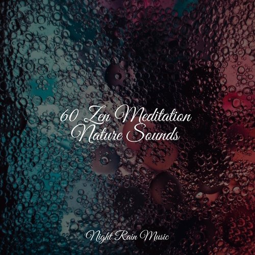 60 Zen Meditation Nature Sounds