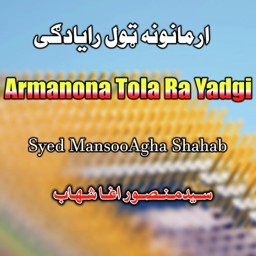 Armanona Tola Ra Yadgi