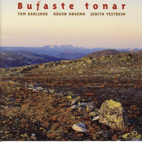 Bufaste Tonar_poster_image