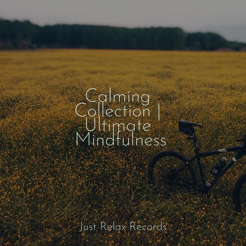 Slumbering Melodic Haven cover art