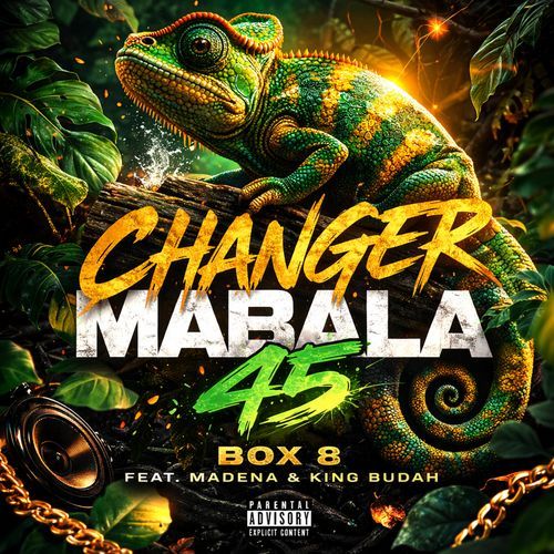 Changer Mabala 45