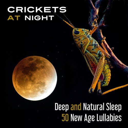 Crickets at Night: Deep and Natural Sleep (50 New Age Lullabies and Calming Background Music for Relax & Restful Sleep (Trouble Sleeping, Insomnia))