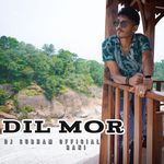 DIL MOR