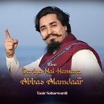 Dariya Hai Hamara Abbas Alamdaar A.S (Live)