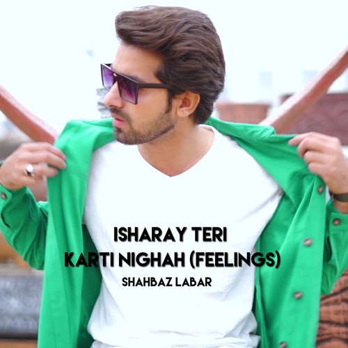 Isharay Teri Karti Nighah (Feelings)_poster_image