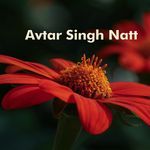Mai Teri Dilbar Hu artwork