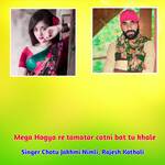 Mega Hogya re tamatar catni bat tu khale