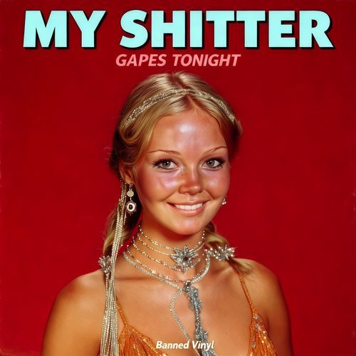 My Shitter Gapes Tonight cover art