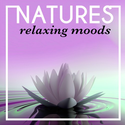 Nature's Relaxing Moods