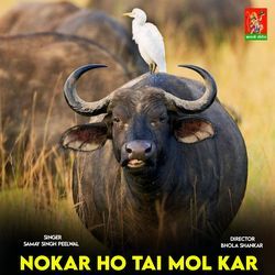 Nokar Ho Tai Mol Kar-Oj8ffQJ,TXo