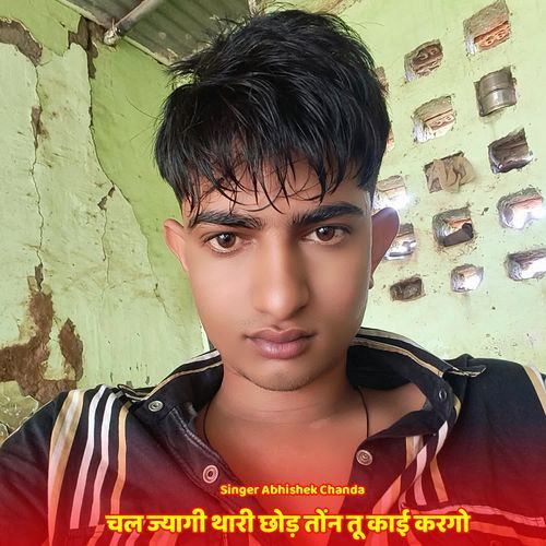 चल ज्यागी थारी छोड़ तोंन तू काई करगो