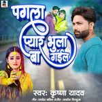 Pagla Pyar Bhula Gail Ba