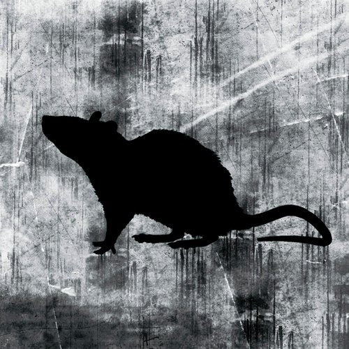 Prashanti cover art