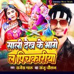 Sali Dekh ke Bhgela Pichkariya