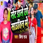 Sent Dale Chho Sautin Me