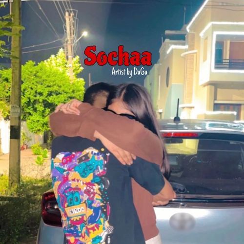 Socha
