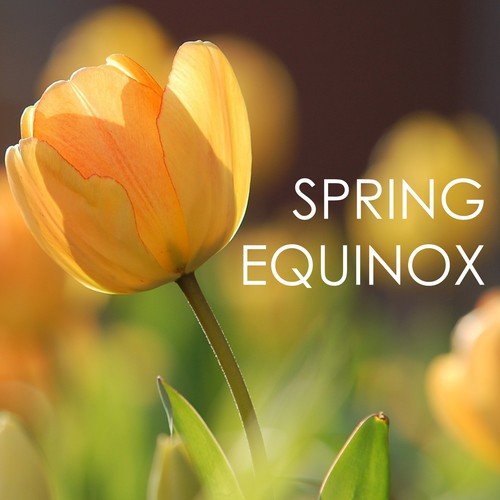 Spring Equinox - Best Natural Sounds Collection for Spiritual Healing and Awakening_poster_image