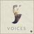 Voices (with Midnight Wolves) (feat. Matt Felix)