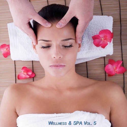 Wellness & Spa, Vol. 5 (Relax Your Mind)