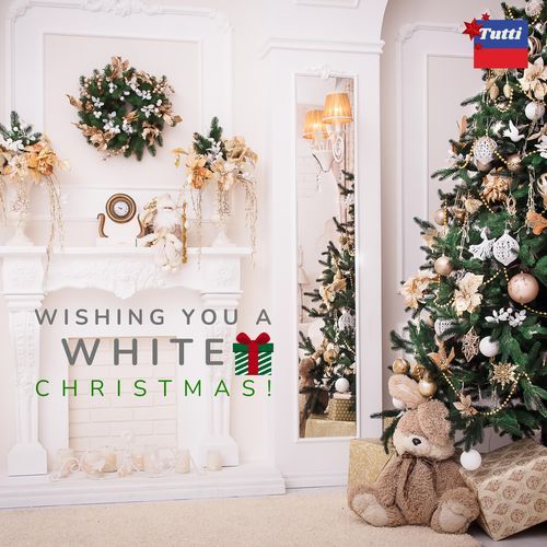 Wishing you a White Christmas!
