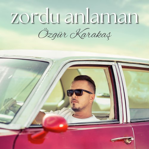 Zordu Anlaman cover art