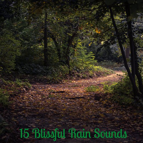 15 Blissful Rain Sounds - Ideal for Babies to Sleep All Night