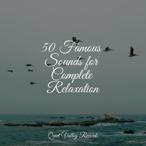 50 Famous Sounds for Complete Relaxation