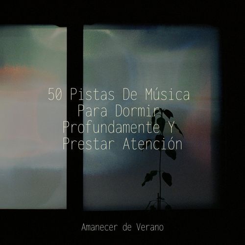 50 Pistas De Música Para Dormir Profundamente Y Prestar Atención