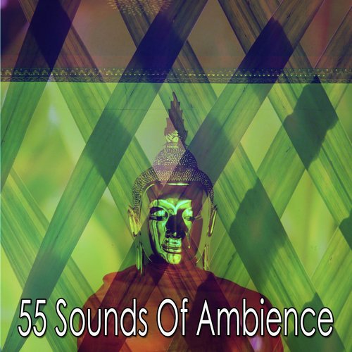 55 Sounds of Ambience