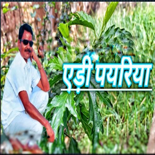 Aedi Payriya