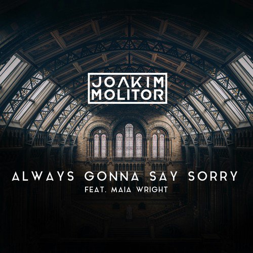 Always Gonna Say Sorry_poster_image