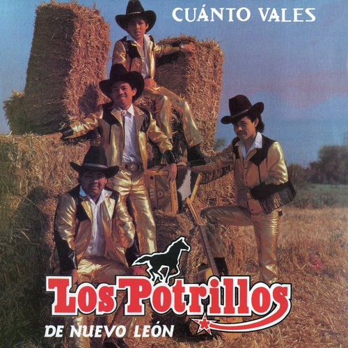 Cuánto Vales_poster_image