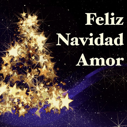 Feliz Navidad Amor - La Mejor Playlist De Navidad Para Celebrar Las Fiestas  Con Tu Amor Y Familia Songs Download - Free Online Songs @ JioSaavn