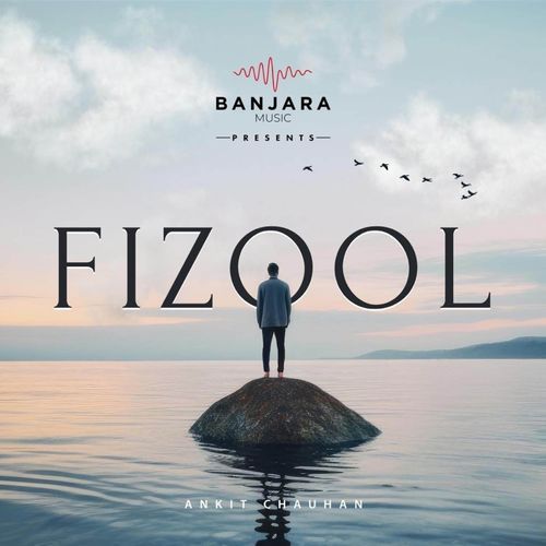 Fizool