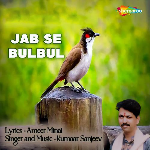 Jab Se Bulbul