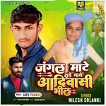 Jungal Mate Lade Maro Adiwasi Bhil