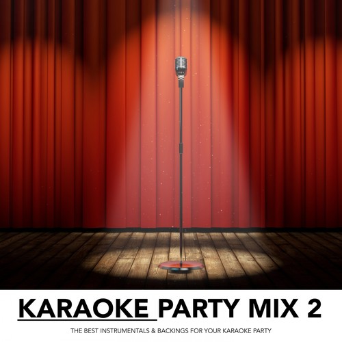 Karaoke Party Mix, Vol. 2