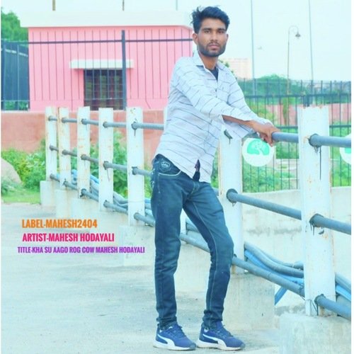 Kha Su Aago Rog Cow Mahesh Hodayali
