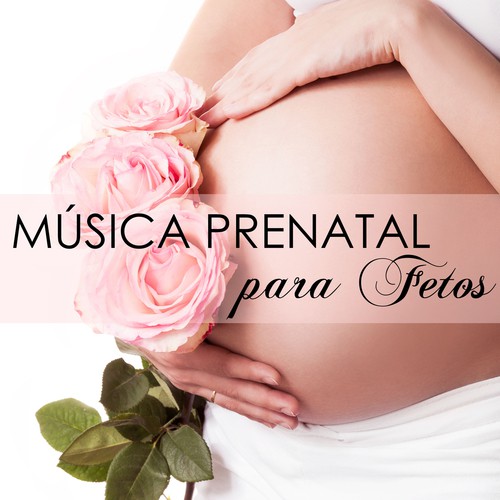 Días Felices cover art