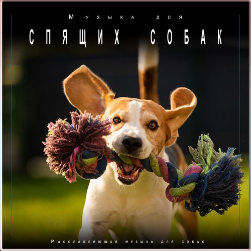 Музыка для собак cover art