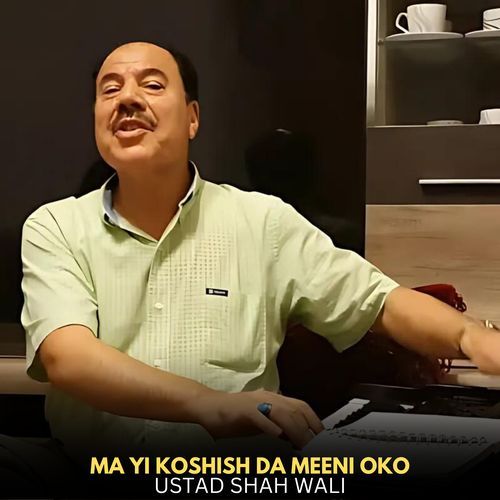 Ma Yi Koshish Da Meeni Oko_poster_image