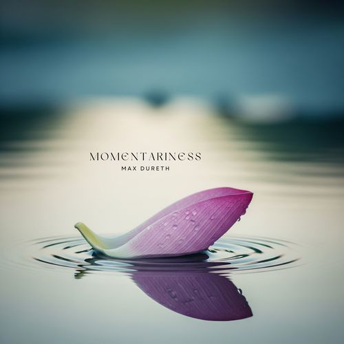 Vanishing Trace cover art